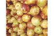 四种水果最适合秋季养生吃 鲜枣养血补气石榴抗衰老