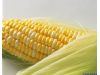 粗粮首选玉米和番薯 减肥养生两不误（2）