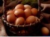 家常养生：西红柿炒鸡蛋的九大神奇功效（6）