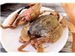 吃螃蟹好处多 中医养生提醒孕妇吃蟹会致流产（2）