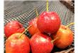 秋季减肥指南：红色蔬果最减肥 山楂减肥的16个妙方（4）