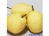 秋冬养生：柑橘全身是宝 5大水果排毒润燥（3）