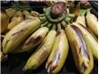 食疗养生：盘点一根香蕉的12大神奇养生功效（3）