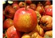 养生：10种秋季水果推荐 健脾益肝还补血