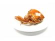 养生警惕：享受美味螃蟹需知14禁忌 五类人不宜吃