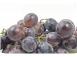 养生：吃葡萄可以防癌 专家推荐10大防癌食物
