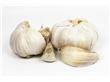 养生大蒜巧搭配 16种大蒜“家常菜”的食疗功效盘点（3）