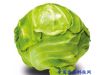 食疗保健：清肝益心肾 十种蔬菜最适合冬天吃