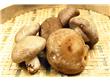 女性养生：香菇红薯能降压 推荐七种食物养成美女（2）