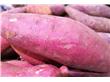 红薯增强皮肤抵抗力 9种食物提高身体免疫力