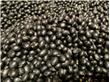冬季饮食养生 黑豆是补肾圣品