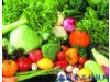 春季滋补养生宜吃的九种蔬菜（9）