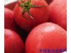 养生：西红柿这么神奇是什么决定了西红柿的营养？（3）