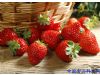 养生需知：抗癌水果草莓居首 春季食用养肝明目