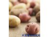 养生警惕：无根豆芽 鲜黄花菜 16种家常食物或引发疾病（5）