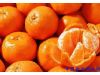 养生：一个橘子5味药 食用橘子禁忌知多少？（5）
