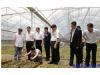 英德：振兴英茶，打造广东省茶叶专业镇