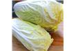 夏季养生必“吃”：卷心菜的7种神奇功效（6）