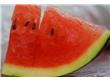 夏日养生警惕：夏天吃西瓜的10大禁忌（2）