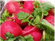 美容养生：黄瓜萝卜冬瓜 吃8种蔬菜快速美白（3）