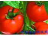 西红柿：4大错误吃法 吃出疾病来