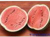 养生警惕：肾功能不全者少吃西瓜（组图）（8）