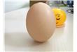养生警惕：吃完鸡蛋后 可别做这7件事（3）