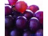 葡萄成熟季节：葡萄颜色不同 营养各异