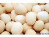 养生警惕：鸡蛋6种吃法 让你加速衰老