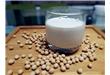 养生需知：牛奶VS豆浆哪个适合你 什么时间喝最养生（9）