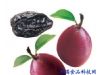 莲藕——保持肌肤光泽 7种嫩肤食物赶走粗糙皮肤（4）