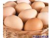 养生：吃鸡蛋也能治病 22种调理身体经典食疗方（12）