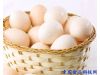 养生：吃鸡蛋也能治病 22种调理身体经典食疗方（18）