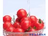 女性养生：西红柿的九大神效给你好气色（7）