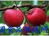 健康饮食：盘点苹果的十六种祛病养生保健功效（12）
