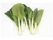 养生：哪些蔬菜凉拌吃会导致中毒 蔬菜生熟互搭更有益（9）