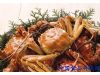 秋季吃螃蟹有技巧 谨记15大禁忌更健康（5）