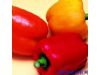 养生：秋季吃什么增强免疫力 推荐10种强力蔬菜（8）