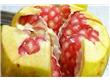 养生：樱桃石榴胡萝卜 30岁不长皱纹食物（图）（2）