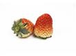吃水果养生：草莓的十种特殊功效盘点
