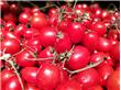 养生推荐：“平民圣果” 番茄 食用有3大注意
