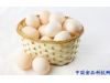 养生：鸡蛋集中注意力 秋季吃10种食物超健康（2）