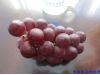养生：红枣最养颜 白领抽屉必备10种健康小零食（图）（9）