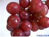 养生：14种神奇水果可治病 吃草莓培养耐心（4）