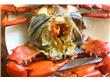长假饮食：吃死螃蟹或致丧命 专家：中秋吃螃蟹有讲究