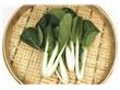养生：圆白菜防癌抗癌最有效 秋季吃圆白菜10功效（8）