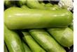 夏季消暑多吃三大蔬菜 养生又健康（3）