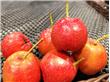 秋季养生最该吃的水果推荐（5）