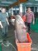 台湾渔民捕获重达132斤大石斑鱼 3万卖出