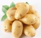 土豆好吃营养多 吃土豆的好处有哪些